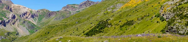 Uma Vista Panorâmica Panorâmica Panorâmica Belas Montanhas Colinas Verdes Com — Fotografia de Stock