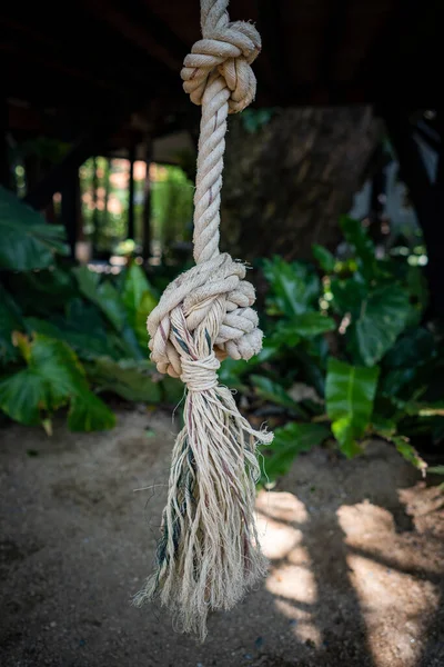 在模糊的背景下 花园中捆绑的绳子的有选择的焦点 — 图库照片