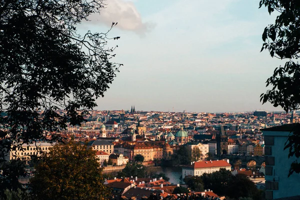 Praha Město Čechy Česká Republika Hrad Kostely Kaplemi Sály Věžemi — Stock fotografie