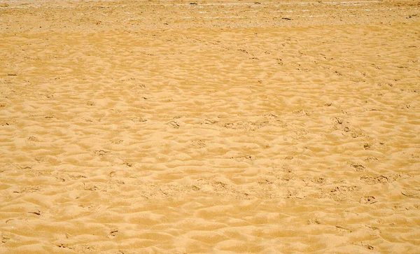 Closeup Shot Footprints Dry Desert — Stock Photo, Image