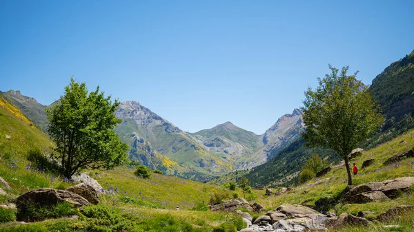 山と緑の丘を持つオタル渓谷の美しい景色 — ストック写真