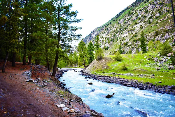 Ένα Ποτάμι Που Ρέει Στα Βουνά — Φωτογραφία Αρχείου