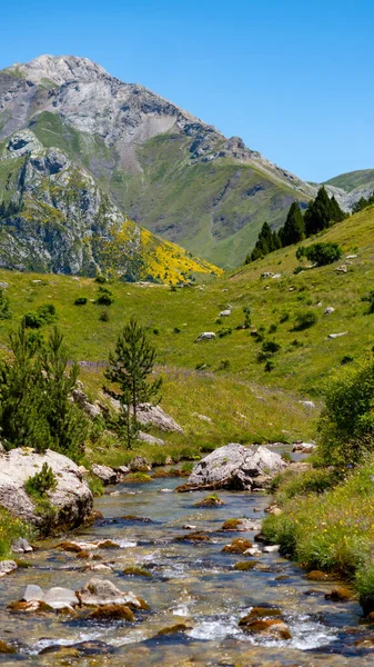 Plan Vertical Une Petite Rivière Dans Vallée Otal Avec Belles — Photo