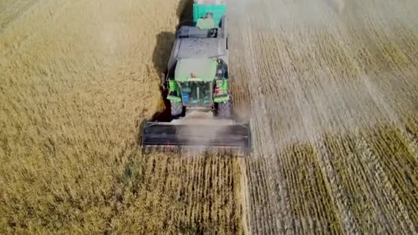 Trekker Het Terrein Landbouw Landbouw Oogsten Boerderij Landbouwmachines Luchtfoto — Stockvideo