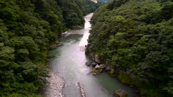 Hermosa Vista Del Río Las Montañas — Vídeos de Stock