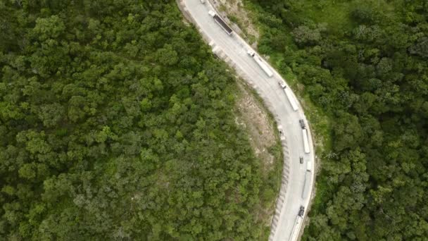 森林中道路的鸟瞰图 — 图库视频影像