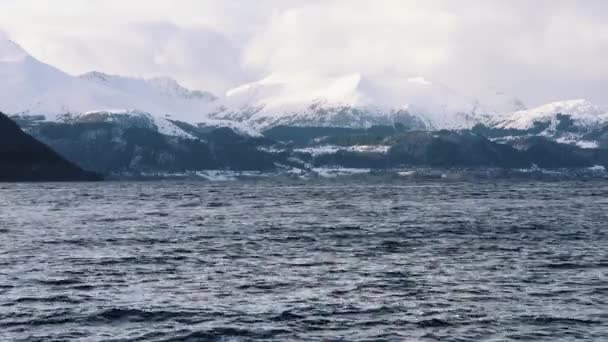 Het Eiland Alaska Een Bewolkte Dag — Stockvideo