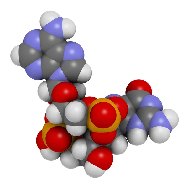 Cykliczne Cząsteczki Monofosforanu Guanozyny Adenozyny Cgamp Renderowanie Atomy Reprezentowane Jako — Zdjęcie stockowe