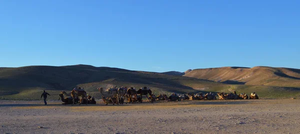 Arvening Negev Desert Bedouin Camp — Stock fotografie