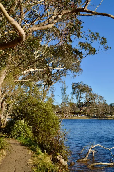 Veduta Del Lago Wentworth Falls Nelle Blue Mountains Ovest Sydney — Foto Stock