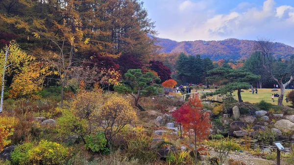 Ein Schöner Blick Auf Den Garten Des Morgens Herbst Der — Stockfoto