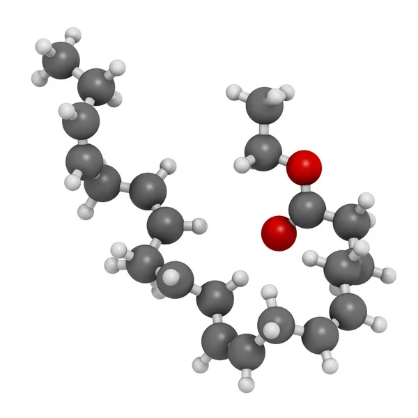 Eyl Eicosapentaenoic Acid 렌더링 원자는구 표현되어 있습니다 — 스톡 사진