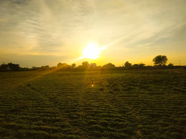 Красиві Пейзажі Сходу Сонця Над Трав Яним Полем — стокове фото