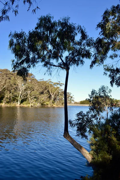 Pohled Jezero Wentworth Falls Lake Modrých Horách Austrálie — Stock fotografie