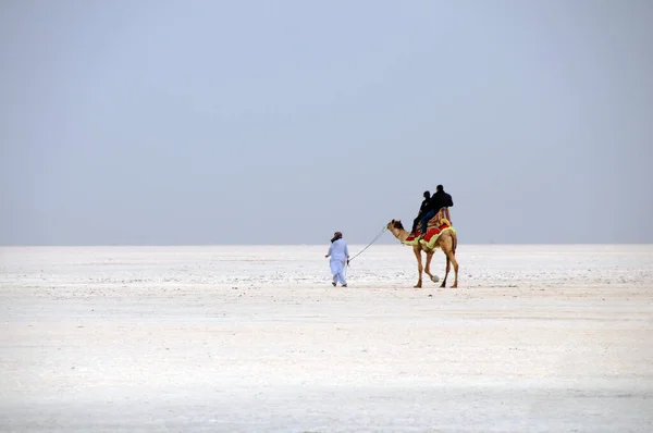 Primo Piano Turisti Cammello Con Una Guida Nel Deserto Sale — Foto Stock