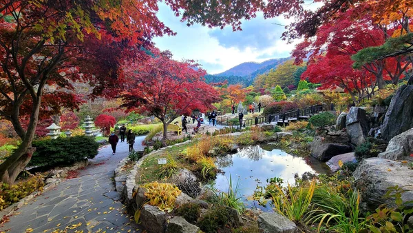 Ein Schöner Blick Auf Den Garten Des Morgens Herbst Der — Stockfoto