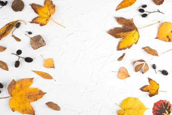 Herfst Bladeren Een Gestructureerde Achtergrond Lege Kopieerruimte Vlakke Lay Bovenaanzicht — Stockfoto