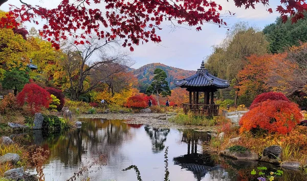 Una Hermosa Vista Del Jardín Mañana Capturado Otoño Ciudad Asan —  Fotos de Stock