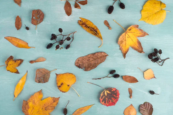 텍스트 배경에 가을의 — 스톡 사진