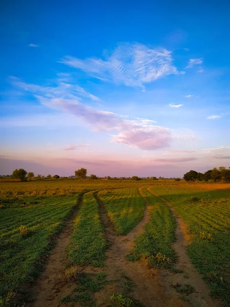 Eine Wunderschöne Landschaft Mit Grünem Feld Unter Blauem Bewölkten Himmel — Stockfoto
