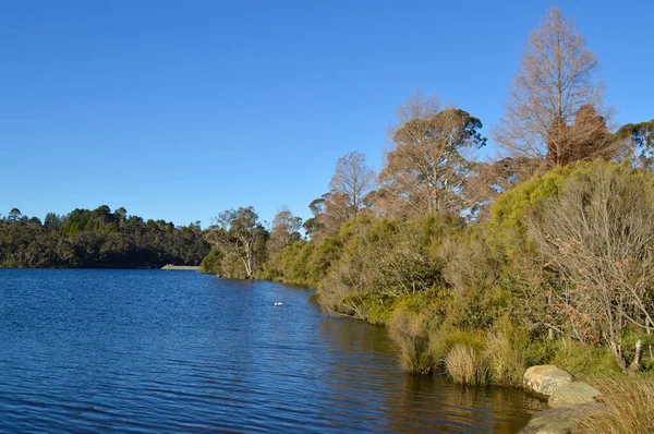 Μια Θέα Από Λίμνη Wentworth Falls Στα Μπλε Βουνά Της — Φωτογραφία Αρχείου