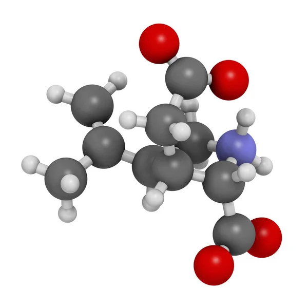 Kaïnezuurmolecuul Directe Agonist Van Glutaminekainaatreceptoren Weergave Atomen Worden Weergegeven Als — Stockfoto