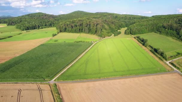 Luftaufnahme Von Grünen Wiesen Und Wäldern Der Landschaft — Stockvideo