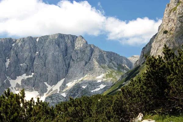 Een Rotsachtige Berg Met Mos Struiken Erop Onder Blauwe Lucht — Stockfoto