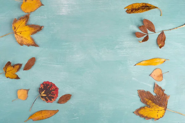 秋は質感のある背景 空のコピースペース フラットレイアウト トップビュー 秋の色に葉 — ストック写真