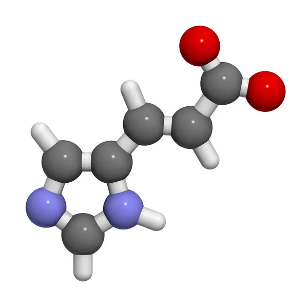 Urocaninezuur Molecuul Afbraakproduct Van Histidine Weergave Atomen Worden Weergegeven Als — Stockfoto