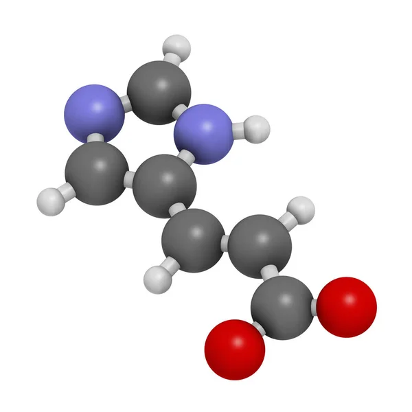 Urocaninezuur Molecuul Afbraakproduct Van Histidine Weergave Atomen Worden Weergegeven Als — Stockfoto