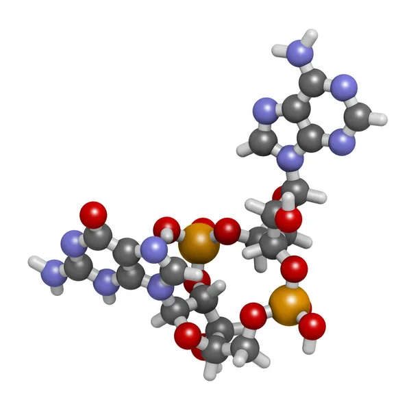 Cykliczne Cząsteczki Monofosforanu Guanozyny Adenozyny Cgamp Renderowanie Atomy Reprezentowane Jako — Zdjęcie stockowe