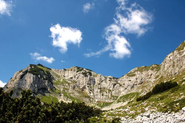 Sebuah Gunung Berbatu Dengan Lumut Bawah Langit Biru — Stok Foto