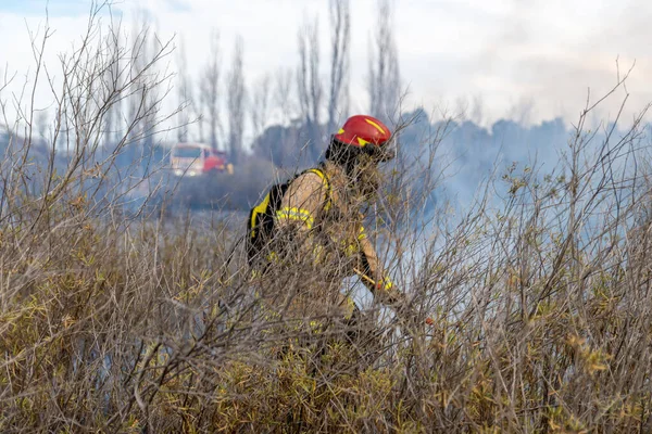 Der Beherzte Feuerwehrmann Löschte Den Brand Einem Wald — Stockfoto