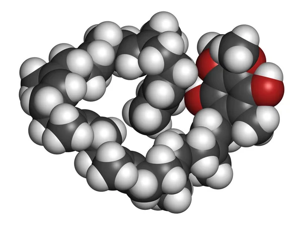 Molécula Ubiquinol Forma Reduzida Coenzima Q10 Renderização Átomos São Representados — Fotografia de Stock
