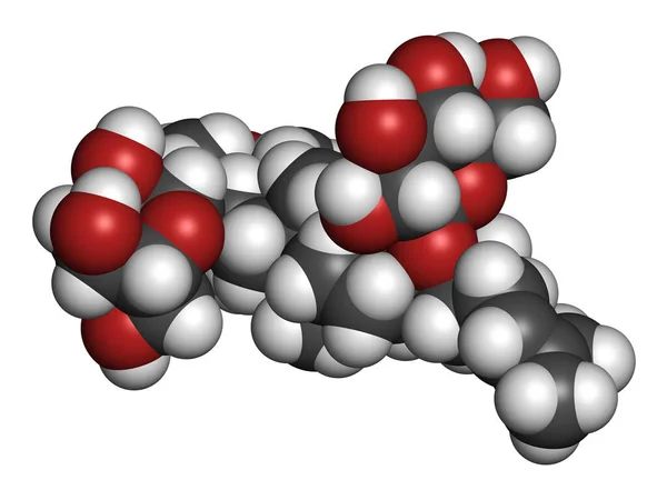 Ginsenoside Rg1 Ginseng Molekülü Boyutlu Görüntüleme Atomlar Geleneksel Renk Kodlaması — Stok fotoğraf
