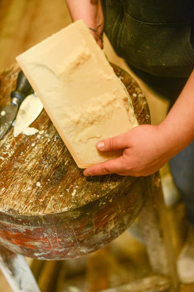 Maestro Del Queso Cortando Una Rueda Queso Parmesano Lechería —  Fotos de Stock