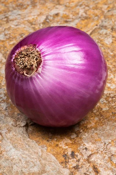 Oignon Pourpre Biologique Aromatique Très Frais Allium Cepa Ingrédient Pour — Photo