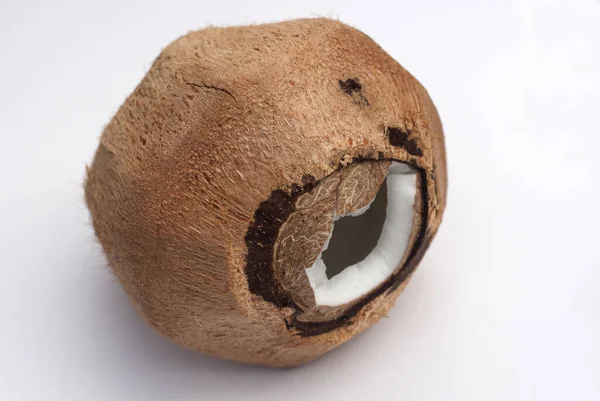 Trockene Kokosnuss Studio Mit Weißem Hintergrund Biologischer Anbau Guatemala Tropische — Stockfoto