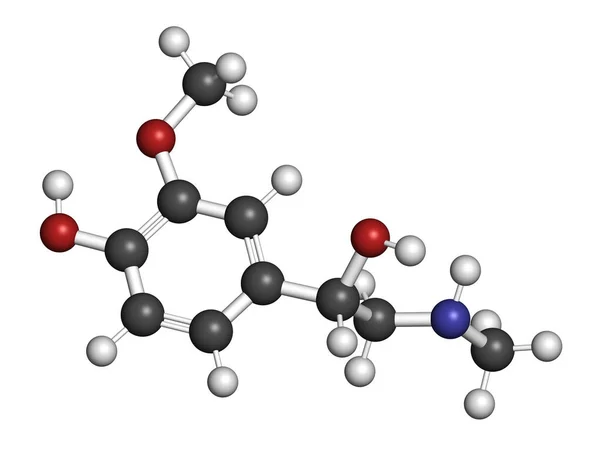 Metanephrine Metadrenalina Molécula Metabolito Epinefrina Que Biomarcador Del Feocromocitoma Representación —  Fotos de Stock