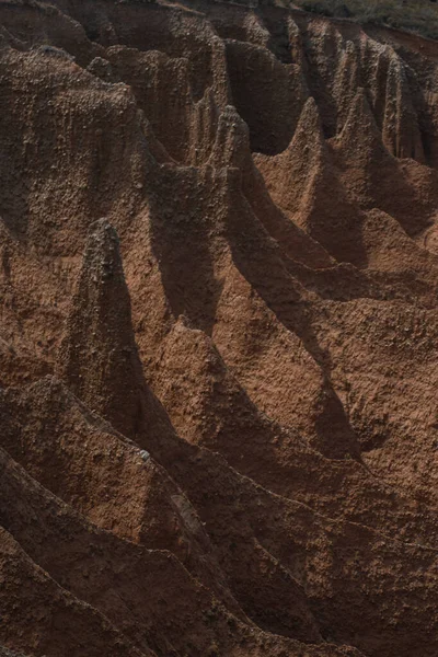 Вертикальный Снимок Природы Заповедника Лас Каркавас Испании — стоковое фото
