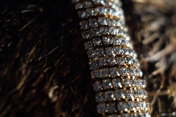 Крупним Планом Знімок Красивого Браслета Діамантами — стокове фото
