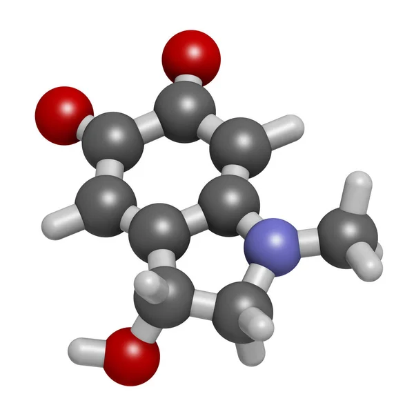 Adrenokrom Molekyl Oxidationsprodukt Adrenalin Återgivning Atomer Representeras Som Sfärer Med — Stockfoto