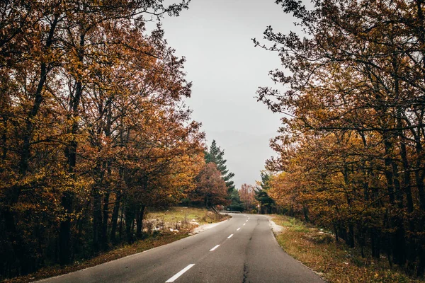 秋の日中は木々や茂みに囲まれた道 — ストック写真