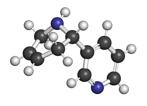 Anatabine Alkaloid Molecule Rendering Atoms Represented Spheres Conventional Color Coding — Stock Photo, Image