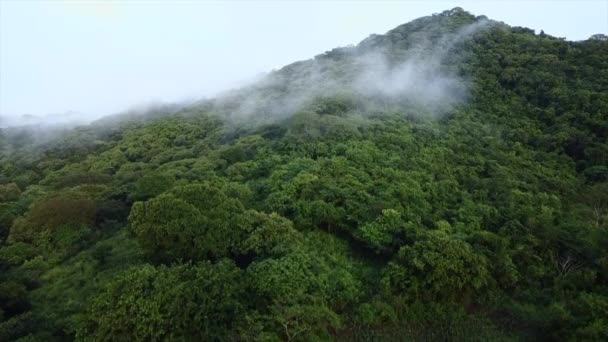 Bela Paisagem Das Montanhas — Vídeo de Stock