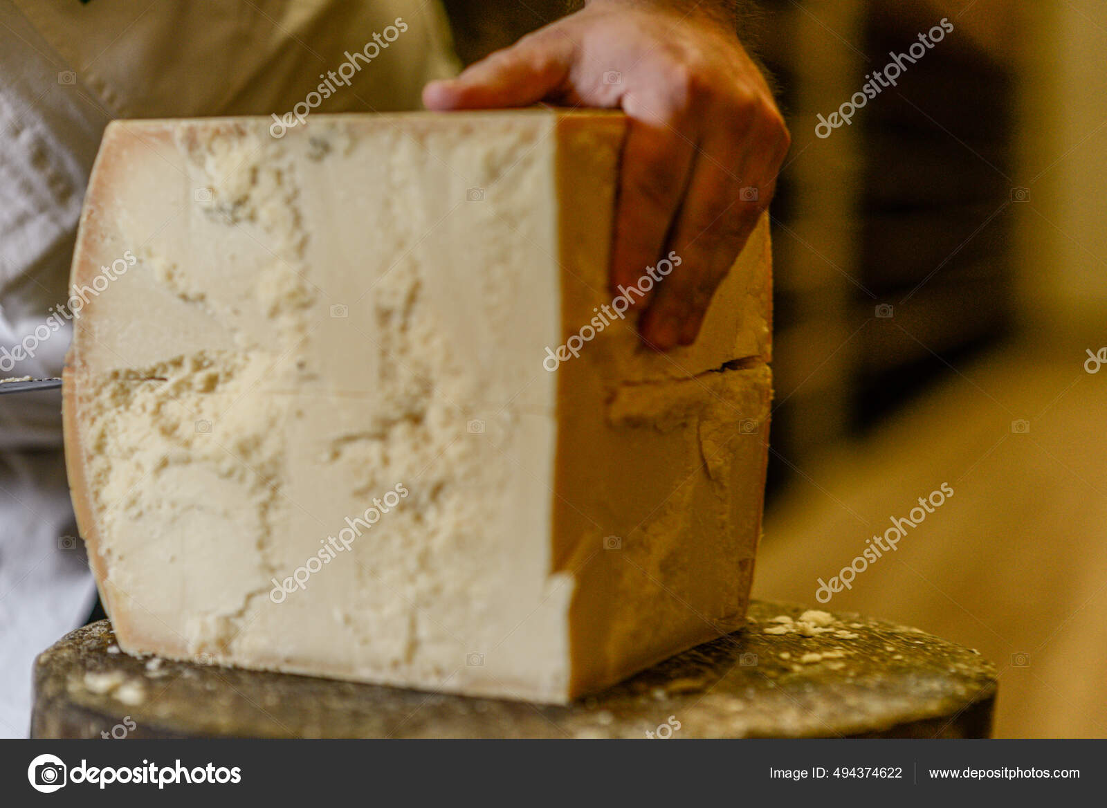 Cheese Master Cutting Parmesan Cheese Wheel Dairy Stock Photo by