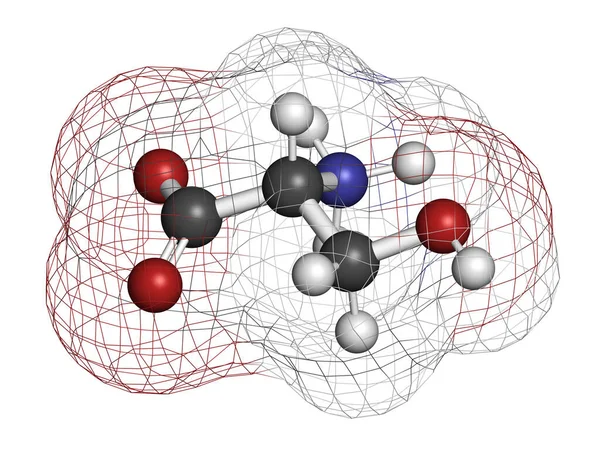 Molécula Aminoácido Serina Enantiómero Serina Representación Los Átomos Representan Como — Foto de Stock