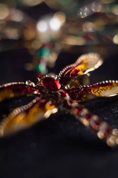Yusufçuk Şeklinde Güzel Bir Broş — Stok fotoğraf