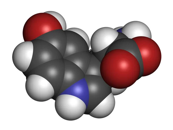 Hydroxitryptofanaminosyramolekyl Återgivning Atomer Representeras Som Sfärer Med Konventionell Färgkodning — Stockfoto